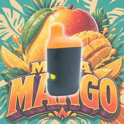 Mega Mango 2g Disposable