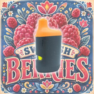 Swedish Berries 2g Disposable