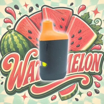 Watermelon 2g Disposable